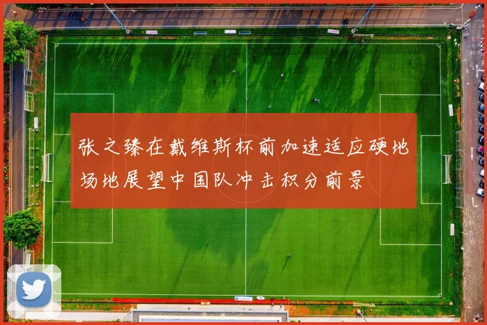 张之臻在戴维斯杯前加速适应硬地场地展望中国队冲击积分前景