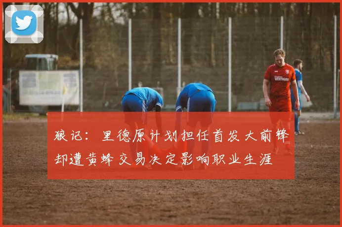 狼记：里德原计划担任首发大前锋却遭黄蜂交易决定影响职业生涯