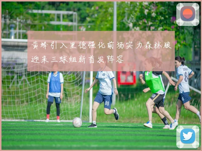 黄蜂引入里德强化前场实力森林狼迎来三球组新首发阵容