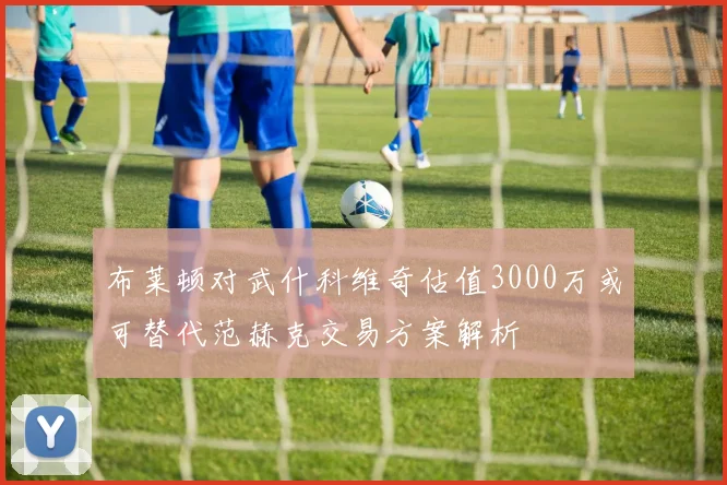 布莱顿对武什科维奇估值3000万或可替代范赫克交易方案解析